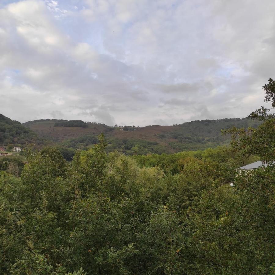 Apartamento Amezti Elizondo Bagian luar foto